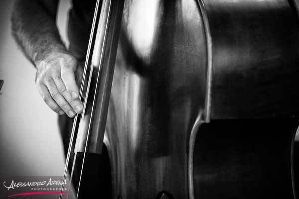 Dettagli musicista